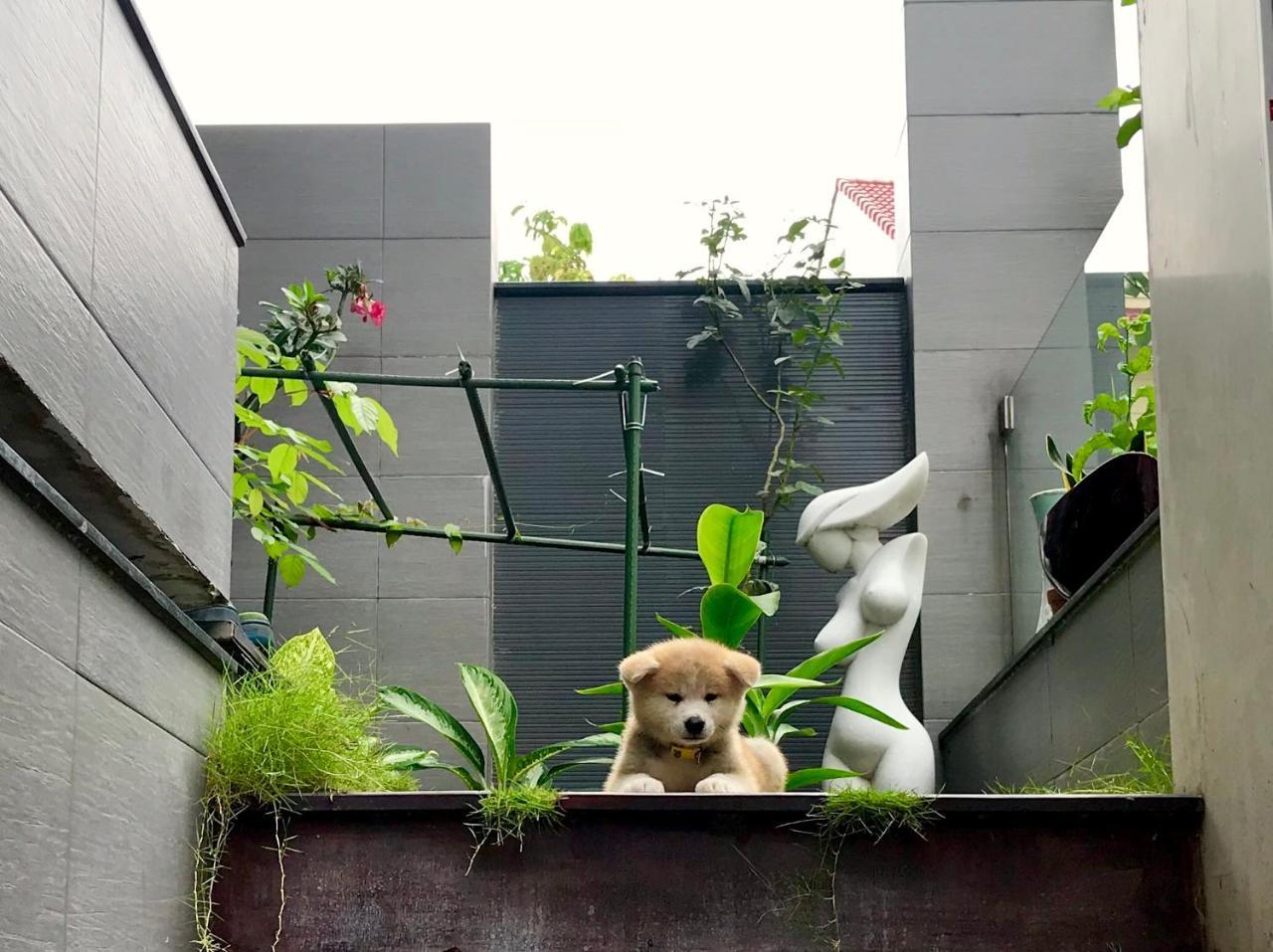 西贡格林伍德别墅 胡志明市 外观 照片