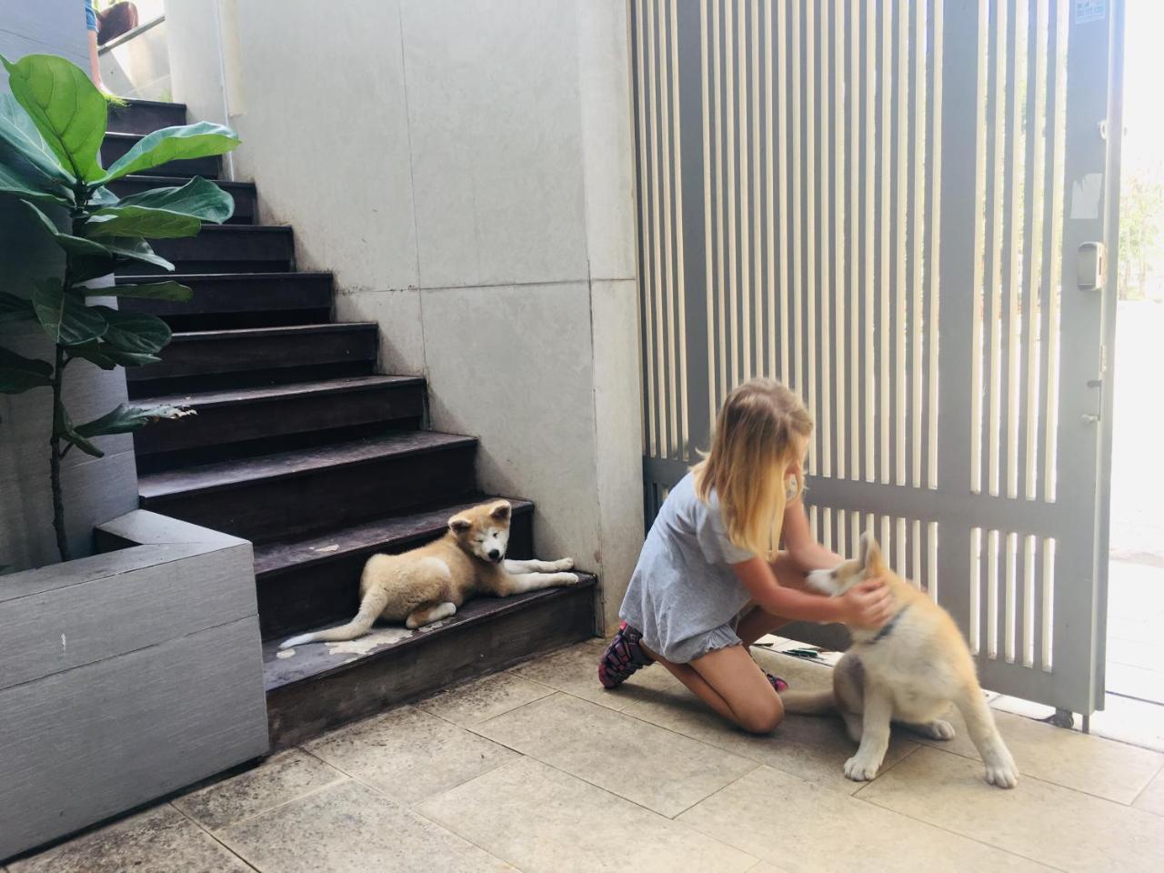 西贡格林伍德别墅 胡志明市 外观 照片
